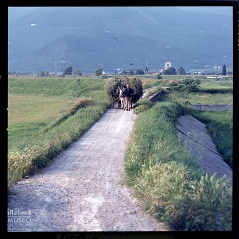 Scena di vita contadina