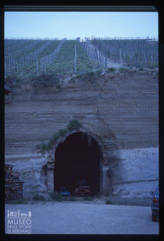 Vigneti nel Roero