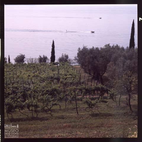 Paesaggio lacustre