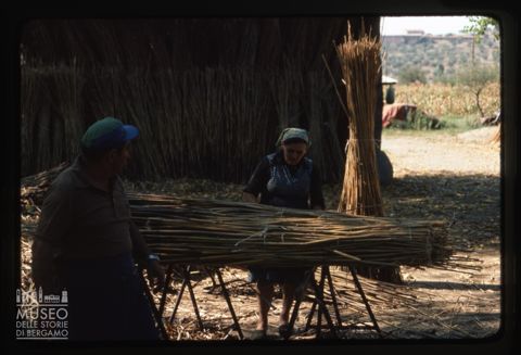 Al lavoro nei pressi del Lago Trasimeno