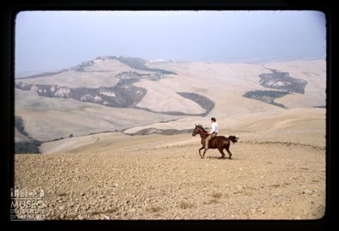 Il fantino Bastiano nelle Crete Senesi