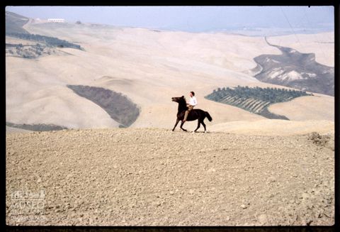 Il fantino Bastiano nelle Crete Senesi