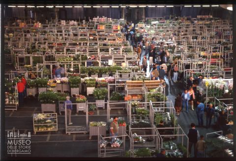 Il mercato dei fiori di Pescia