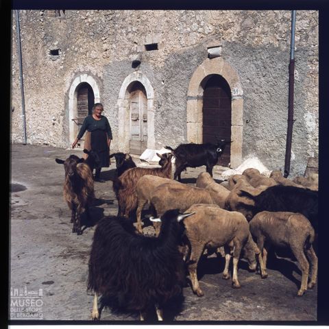 Scena di vita quotidiana