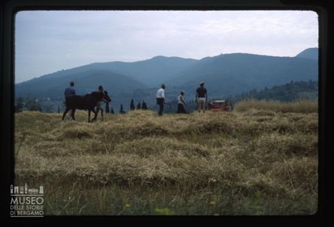 Contadini al lavoro in montagna