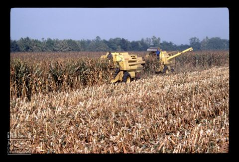 Macchine agricole a Calcinate