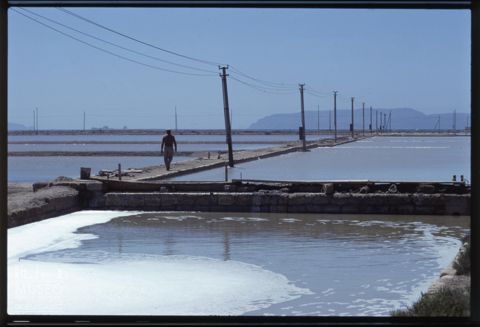 Le saline di Trapani