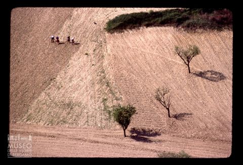 Paesaggio agreste a Ripatransone