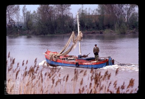 La foce dell'Adige presso Portesine
