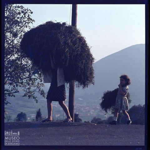 Scena di vita contadina
