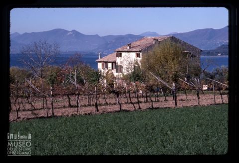 Campi in riva al Lago di Garda