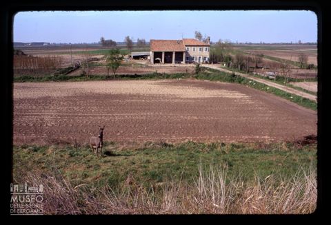 Paesaggio agreste con cascina