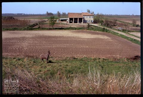Paesaggio agreste con cascina