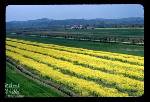 Paesaggio agreste a Bettolle