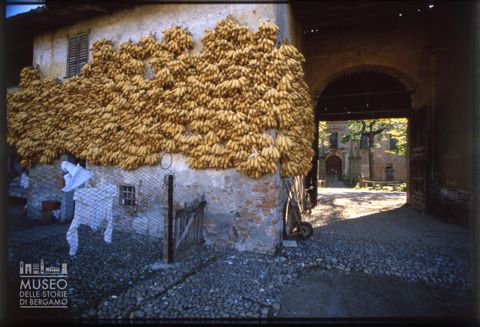 Cascina a Castel Liteggio