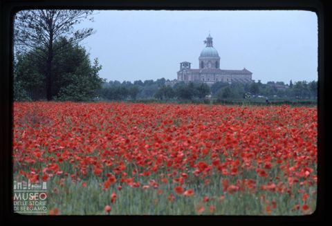Un campo di papaveri nei pressi del santuario di Santa Maria del Fonte a Caravaggio