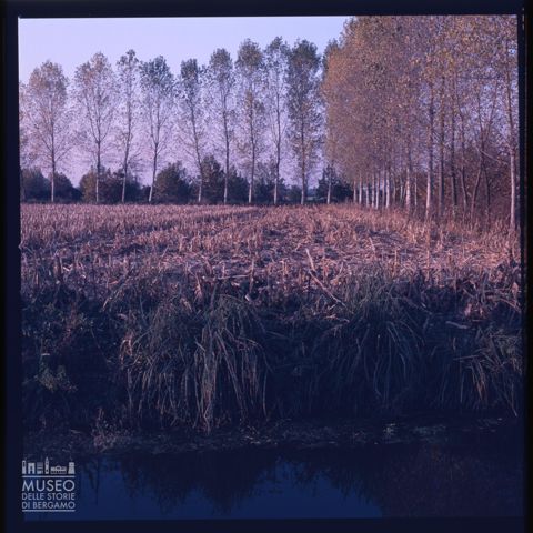 Paesaggio della Bassa Bergamasca