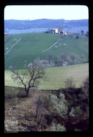 Colline marchigiane