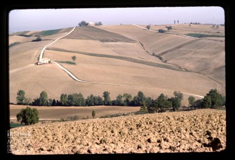 Paesaggio agreste nei pressi di Mondavio