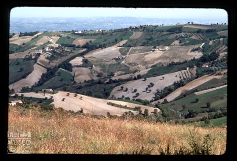 Paesaggio marchigiano
