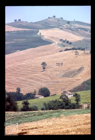 Paesaggio marchigiano