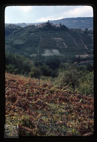 Paesaggio nelle Langhe