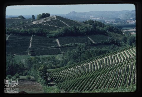 Paesaggio nelle Langhe