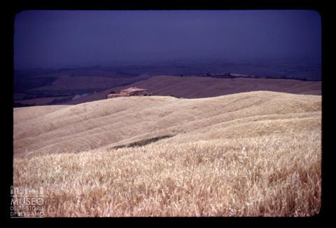 Panorama delle Crete Senesi