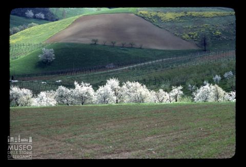 Paesaggio agreste