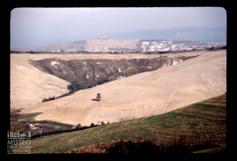 Paesaggio agreste