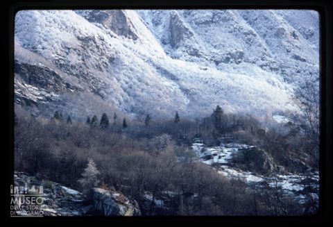 Paesaggio montano con neve