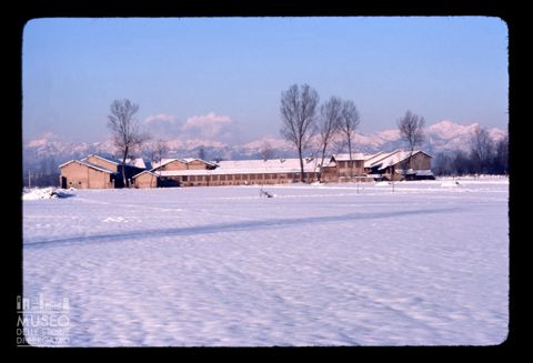 Paesaggio innevato a Rivolta d'Adda