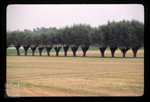 Paesaggio agreste lombardo