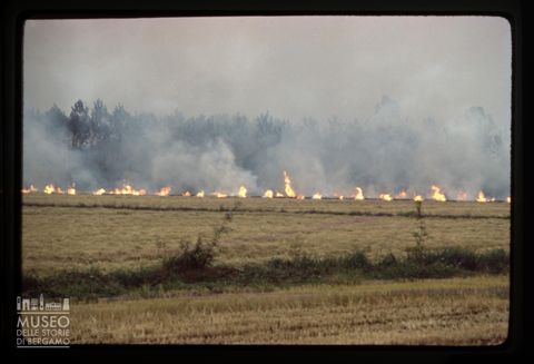 Incendi in un campo
