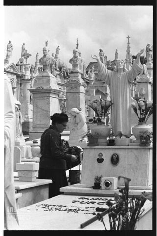 Il Cimitero Monumentale di Lavagna