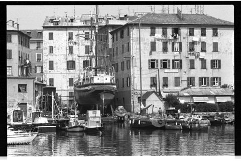Il porto di Savona