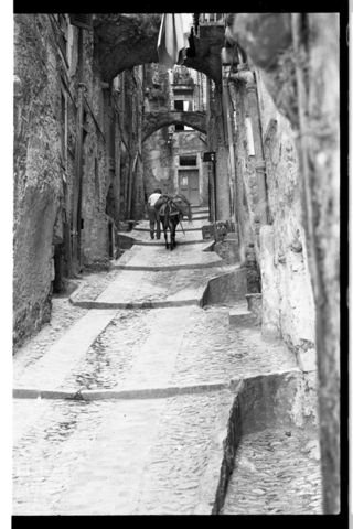 Il borgo di Dolceacqua