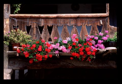 Particolare di un balcone con gerani