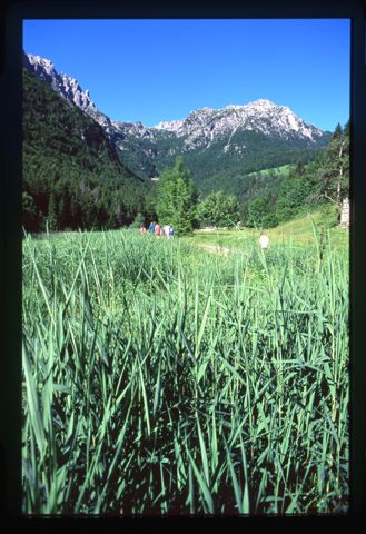 Piani di Valtorta
