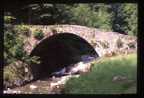 Ponte del Bolgià