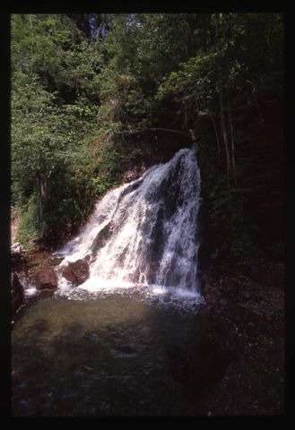 Cascatella nell'oasi naturalistica del Bolgià