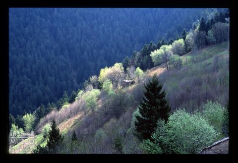 La Forcella