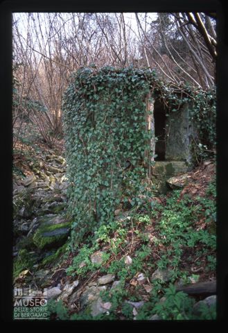 Sorgente d'acqua nel bosco di Stabello