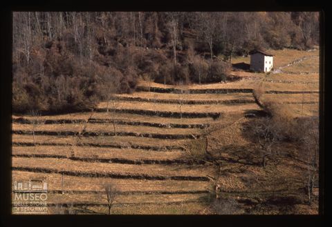 Panorama della zona di Ca' Noa