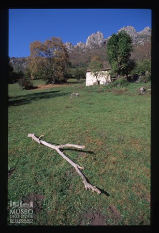 Pascolo tra Pianca e Cantiglio