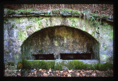 L'antica fontana di Bosco Entro
