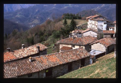 Edifici rurali a Bosco Fuori