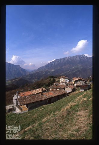 Bosco Fuori