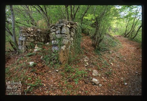 Paesaggio boschivo nei pressi di Dossena