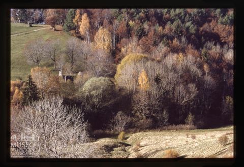 Panorama boschivo sul Monte Vaccareggio